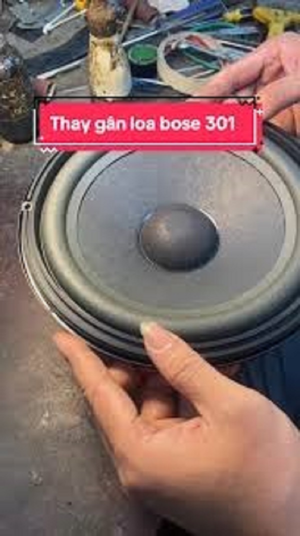 Cách Dán Gân Loa Bose 301 Series IV