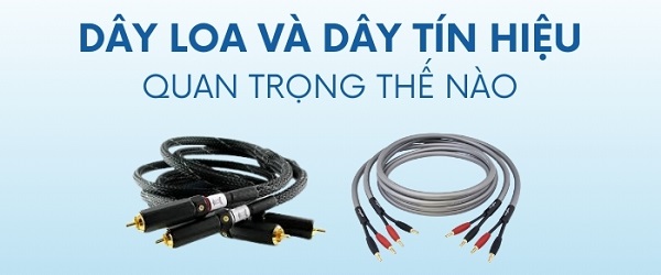 Hiệu Ứng Bề Mặt