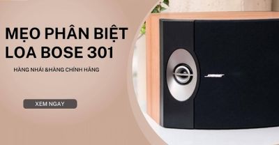 Hướng Dẫn Thay Gân Loa Bose 301 Series IV Tại Nhà